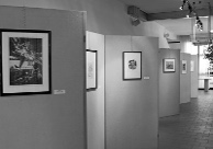 Inaugurazione mostra alla Loggia della Fornace (foto 3)