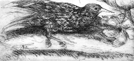 Ultimo volo (acquaforte, 1953, cm 8,8 x 18,9)