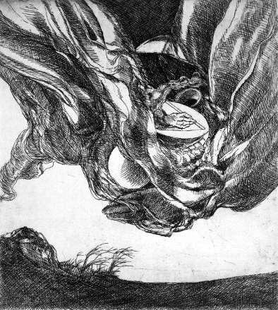 Una nube forestiera (acquaforte, 1976, cm 15,9 x 17,8)